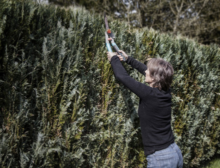 IFF Contemp 2014 Img Golden 053 W