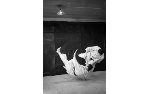 Judo throw