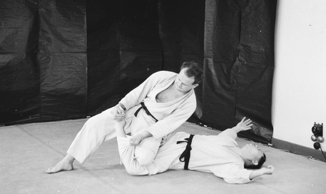 Judo joint lock